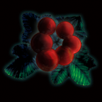 ���������꡼ No.001�Υ���ͥ������ / ��Wizardry ����줷˴��γ��ס�ȯ��Ʊ���ۿ���DLC�����ƥ����