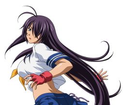 画像ギャラリー No.007のサムネイル画像 / 「ブラウザ一騎当千」，セクシーなコスプレ姿の新闘士カードを10枚追加