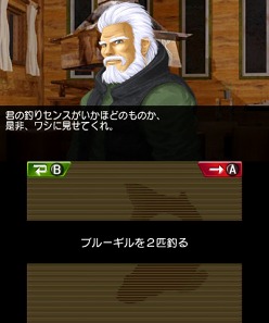 ꡼ No.003Υͥ / Fish Eyes 3Dȯ䵭ǰɻԼץ쥼ȡοʤҲ