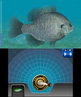 ꡼ No.005Υͥ / Fish Eyes 3Dȯ䵭ǰɻԼץ쥼ȡοʤҲ