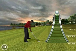 Tiger Woods PGA TOUR 12