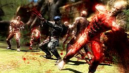 NINJA GAIDEN 3ͭDLC1ƤXbox360ǤۿPS3Ǥ5