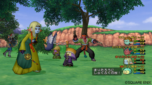 画像ギャラリー No.002のサムネイル画像 / 【速報】Wii「ドラゴンクエストX」は8月2日に発売決定。オンラインサービスは月額課金制で，30日間1000Wiiポイントに