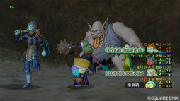 画像ギャラリー No.014のサムネイル画像 / 【速報】Wii「ドラゴンクエストX」は8月2日に発売決定。オンラインサービスは月額課金制で，30日間1000Wiiポイントに