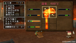 画像ギャラリー No.016のサムネイル画像 / 【速報】Wii「ドラゴンクエストX」は8月2日に発売決定。オンラインサービスは月額課金制で，30日間1000Wiiポイントに