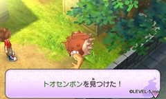 ���������꡼ No.020�Υ���ͥ������ / ���Ų������å��פ�����Ȥʤ�Ⱥ�Į�ɤǵ����륤�٥�Ȥ�Ƽ���ߤ�Ҳ�ͧã�ˤʤä��Ų��������Ǥ��륢���ƥ�ξ����