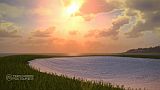 タイガー・ウッズ PGA TOUR 13