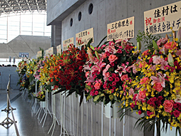  No.083Υͥ / ĥǮʤä֥ǥ饬륺פΥ饤֡THE IDOLM@STER CINDERELLA GIRLS 5thLIVE TOUR Serendipity Parade!!! ĥפݡ