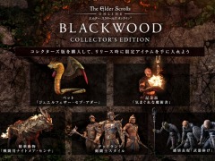 「エルダー・スクロールズ・オンライン」日本語版のオータムセールが開催。最新DLC“ブラックウッド”が50％オフ，ベースゲームが89％オフに