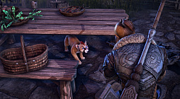 ���������꡼ No.003�Υ���ͥ������ / �֥�����������������륺������饤�����ζ��Ĥε��� �ѡ���1��2025ǯ6��18�������ƻ��֡ˤ��ۿ����ꡣ�������������