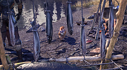 ���������꡼ No.008�Υ���ͥ������ / �֥�����������������륺������饤�����ζ��Ĥε��� �ѡ���1��2025ǯ6��18�������ƻ��֡ˤ��ۿ����ꡣ�������������