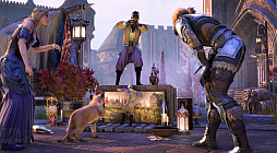 ���������꡼ No.009�Υ���ͥ������ / �֥�����������������륺������饤�����ζ��Ĥε��� �ѡ���1��2025ǯ6��18�������ƻ��֡ˤ��ۿ����ꡣ�������������