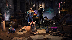 ���������꡼ No.010�Υ���ͥ������ / �֥�����������������륺������饤�����ζ��Ĥε��� �ѡ���1��2025ǯ6��18�������ƻ��֡ˤ��ۿ����ꡣ�������������