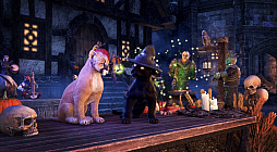 ���������꡼ No.013�Υ���ͥ������ / �֥�����������������륺������饤�����ζ��Ĥε��� �ѡ���1��2025ǯ6��18�������ƻ��֡ˤ��ۿ����ꡣ�������������