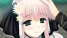 ���������꡼ No.022�Υ���ͥ������ / �����ƥॽ�եȡ�����ե������ֻ���ɱ���������С��Ǥ���ζ���פΥ����ॷ���ƥ�ʤɡ��ǿ���������