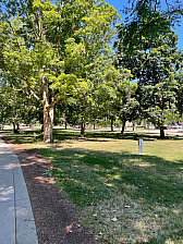 ꡼ No.027Υͥ / ΥƥΤޤWarframeפΥ٥ȡTennoCon 2025ɥݡȡ10ǯޤΥ󥵡ȤǥեǮ̤ϺǹĬ