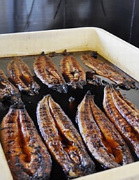 ꡼ No.005Υͥ / ֥ˡܤΰʥɡ֥פɲá187Źޤ