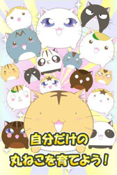 ���������꡼ No.004�Υ���ͥ������ / Android�������ץ�֥ݥ�ݥ�ѻ������ס�GMO�����ॻ�󥿡����ۿ���