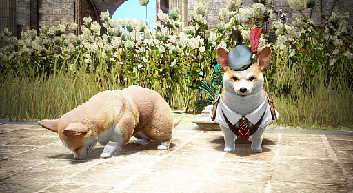 ���������꡼ No.008�Υ���ͥ������ / �ֹ��������פǡֱƤ���졡�޶���å�Хȥ�������׳���