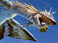 �֥�󥹥����ϥ󥿡�3(�ȥ饤)G HD Ver.�פΥͥåȥ���⡼�ɤ�̵�������Ѳ�ǽ��Wii U GamePad�ǤΥ���å����ϡ������ǧ�Ǥ������ץ쥹��������θ�����ݡ���