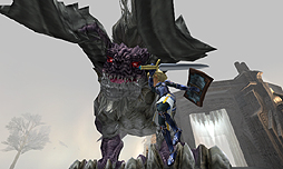 ������#006�Υ���ͥ���/�֥������� �쥸����ɥ��ɡסʥ������� ���С����ǡˡ�������˥塼���������������ӥ�����������