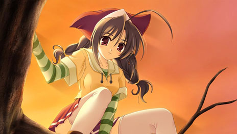 ꡼ No.005Υͥ / PS Vitaѥեȡŷ᤭ξפ1220ȯ䡣ٲ줿եåȶʪڤ⤦