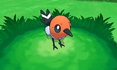 画像ギャラリー No.046のサムネイル画像 / 「ポケットモンスター X・Y」，“伝説のポケモン”の勇士をあしらったパッケージ，主人公キャラの仕様，ゲームの流れや新ポケモンの情報を公開