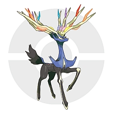 画像ギャラリー No.056のサムネイル画像 / 「ポケットモンスター X・Y」，“伝説のポケモン”の勇士をあしらったパッケージ，主人公キャラの仕様，ゲームの流れや新ポケモンの情報を公開