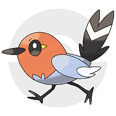 画像ギャラリー No.066のサムネイル画像 / 「ポケットモンスター X・Y」，“伝説のポケモン”の勇士をあしらったパッケージ，主人公キャラの仕様，ゲームの流れや新ポケモンの情報を公開