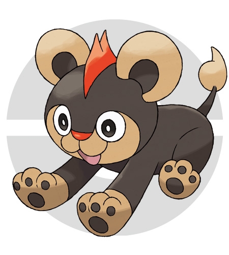 ꡼ No.038Υͥ / ֥ݥåȥ󥹥 XYס᥿ǽв񤦥饯֥ʡס֥ƥΡס֥ȥСס֥/פξʤɤˡݥ