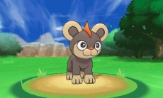 ꡼ No.049Υͥ / ֥ݥåȥ󥹥 XYס᥿ǽв񤦥饯֥ʡס֥ƥΡס֥ȥСס֥/פξʤɤˡݥ