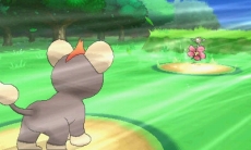 ꡼ No.050Υͥ / ֥ݥåȥ󥹥 XYס᥿ǽв񤦥饯֥ʡס֥ƥΡס֥ȥСס֥/פξʤɤˡݥ