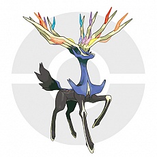 ꡼ No.001Υͥ / ֥ݥåȥ󥹥 XYסΥݥ֥ͥפȡ֥٥륿פ䥿פ餫ˡ饯̿ǽξʤɤȤ碌ƾҲ