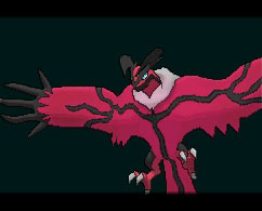 ꡼ No.019Υͥ / ֥ݥåȥ󥹥 XYסΥݥ֥ͥפȡ֥٥륿פ䥿פ餫ˡ饯̿ǽξʤɤȤ碌ƾҲ