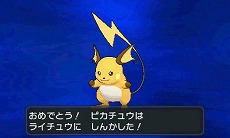 ꡼ No.035Υͥ / ֥ݥåȥ󥹥 XYסΥݥ֥ͥפȡ֥٥륿פ䥿פ餫ˡ饯̿ǽξʤɤȤ碌ƾҲ