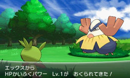 ꡼ No.068Υͥ / ֥ݥåȥ󥹥 XYסΥݥ֥ͥפȡ֥٥륿פ䥿פ餫ˡ饯̿ǽξʤɤȤ碌ƾҲ