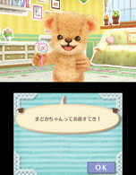 ���������꡼ No.056�Υ���ͥ������ / �֤���椦���Ǥ����㤦������ ����♡�ȥ��2013ǯ���ȯ�䡣�͹�̵Ǿ�Υ��ޤȥ��ߥ�˥����������̤��ơ�嫤򿼤�褦