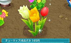 ���������꡼ No.005�Υ���ͥ������ / �֥��ޡ��ȥ�ץ�����������Ǥ�6��20��ȯ�䡣���ǲİ�����ʪ���Ƥ�֥����ǥ˥󥰡פ�ߥ˥�����Ȥ��Ƴڤ����������פʤɤ�������