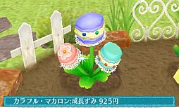 ���������꡼ No.008�Υ���ͥ������ / �֥��ޡ��ȥ�ץ�����������Ǥ�6��20��ȯ�䡣���ǲİ�����ʪ���Ƥ�֥����ǥ˥󥰡פ�ߥ˥�����Ȥ��Ƴڤ����������פʤɤ�������