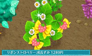 ���������꡼ No.017�Υ���ͥ������ / �֥��ޡ��ȥ�ץ�����������Ǥ�6��20��ȯ�䡣���ǲİ�����ʪ���Ƥ�֥����ǥ˥󥰡פ�ߥ˥�����Ȥ��Ƴڤ����������פʤɤ�������