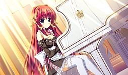 ꡼ No.005Υͥ / PS VitaѥեȡCure Mate Clubפ3ȯͽ