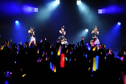  No.038Υͥ / ֥ɥޥ ߥꥪ饤֡סCD꡼THE IDOLM@STER LIVE THE@TER DREAMERS1ȯ䵭ǰ٥Ȥ