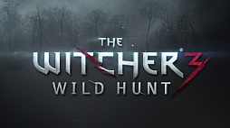 #001Υͥ/The Witcher 3: Wild Huntפͽ꤫٤2015ǯ2ȯ