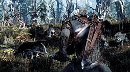 gamescom 2014ʤɤǥǥ˾Ҳ𤵤줿The Witcher 3: Wild HuntפΥࡼӡ