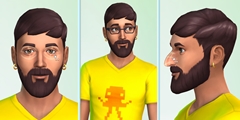 gamescomϤȿʹŪɤˤʤäȤϡĤ˾󤬸줿꡼ǿThe Sims 4פˤĤơץǥ塼Ryan VaughanäʹƤ