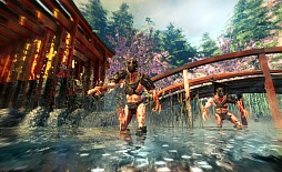 Shadow Warrior