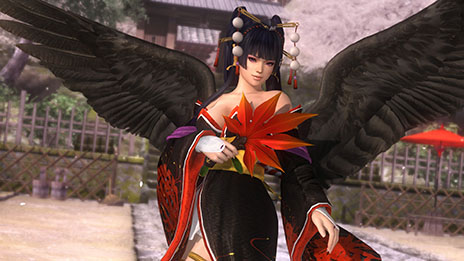 DEAD OR ALIVE 5 Ultimateפɲå֥ե4פѤǤ븢PS3ǸۿǤˤϿֽŷפо