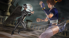 DEAD OR ALIVE 5 Ultimateפɲå֥ե4פѤǤ븢PS3ǸۿǤˤϿֽŷפо