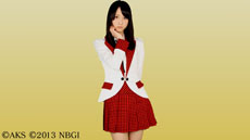 ���������꡼ No.055�Υ���ͥ������ / ��AKB1/149 ����������׿���/�����⡼�ɤ�������ˡ�䡤������ȿ����ǽ�פγ��פ������ˡ������ʿ����򥷡���Υ����꡼�󥷥�åȤ�Ǻ�