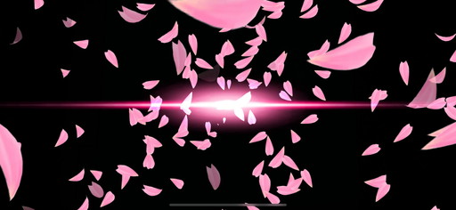 ꡼ No.019Υͥ / ֥NET MJסߡ֥ץ꡼饳ܤ825곫šSSRϺܻ顤ꥫեƥ̤Ͽܥ